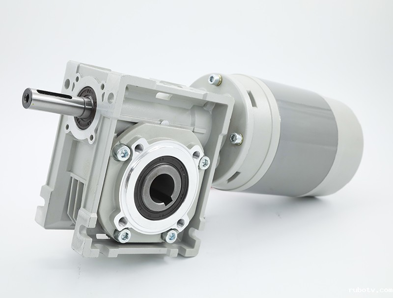 2026世界杯国足中场