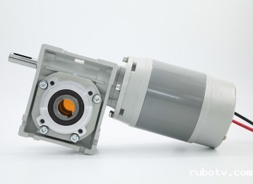 2026世界杯国足中场